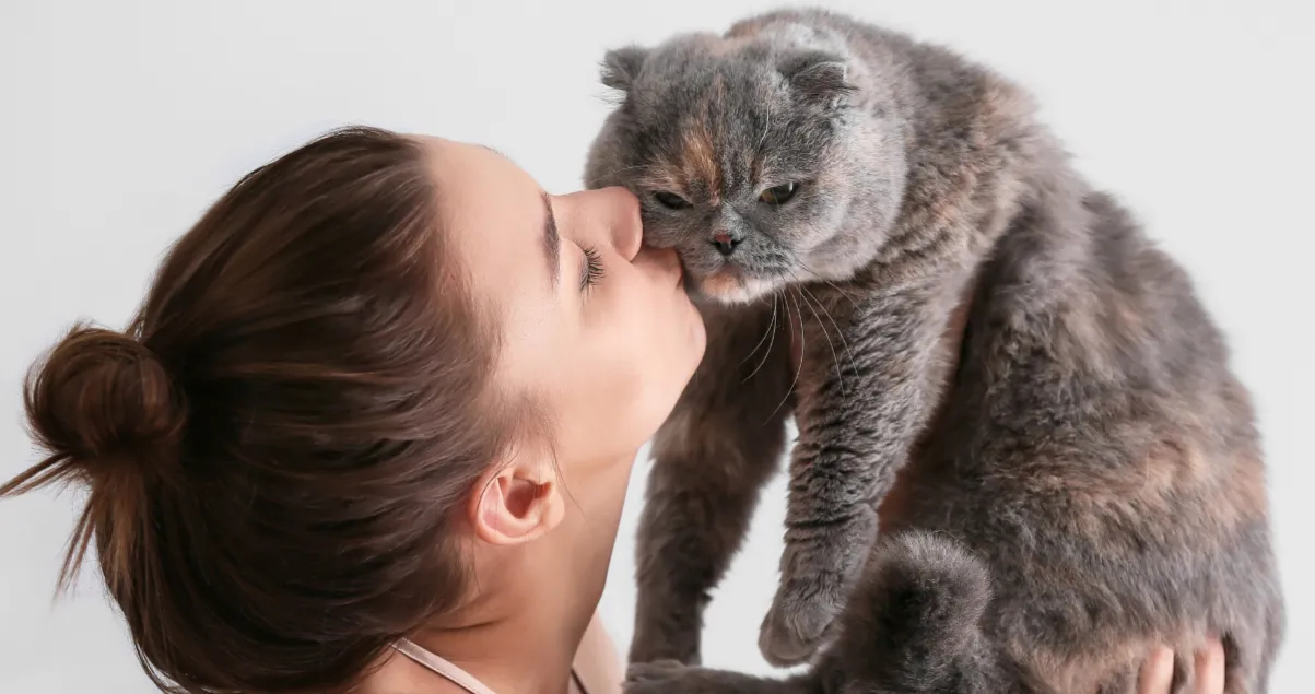 Razones por las que el pelaje de los gatos cambia de color