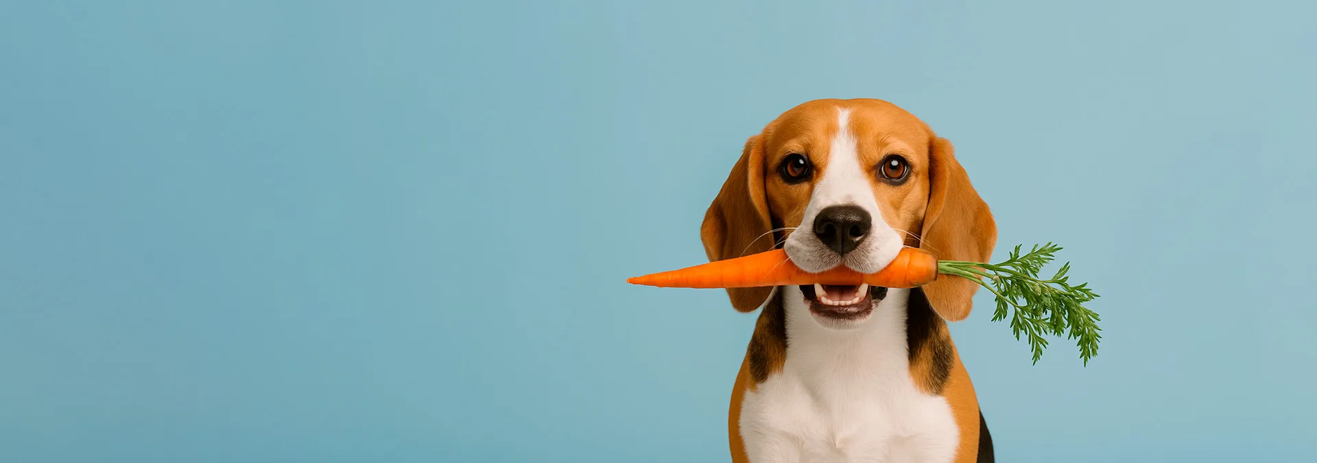 Nutrición veterinaria