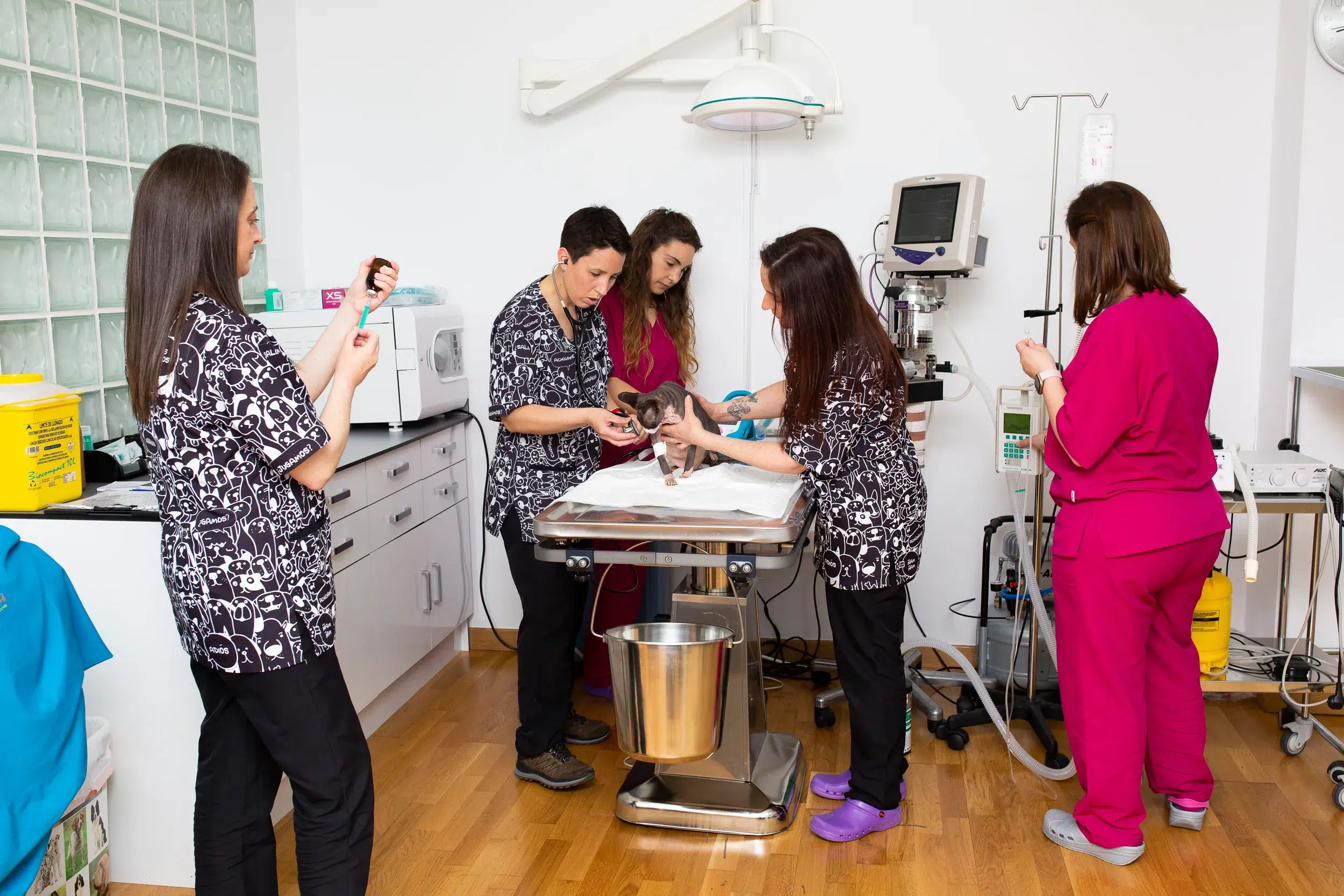 Lo que nos define como clínica veterinaria